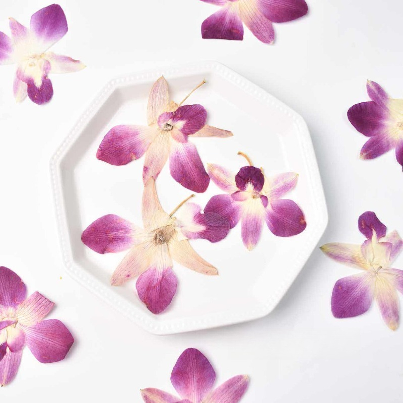 Art Craft Butterfly - 4 Pezzi, Fiori di Orchidea Farfalla