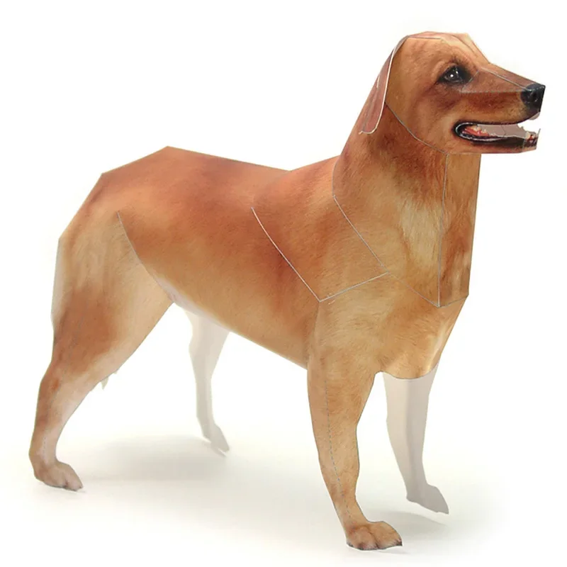 Art Craft Center - Golden Retriever Cane Modello di Carta