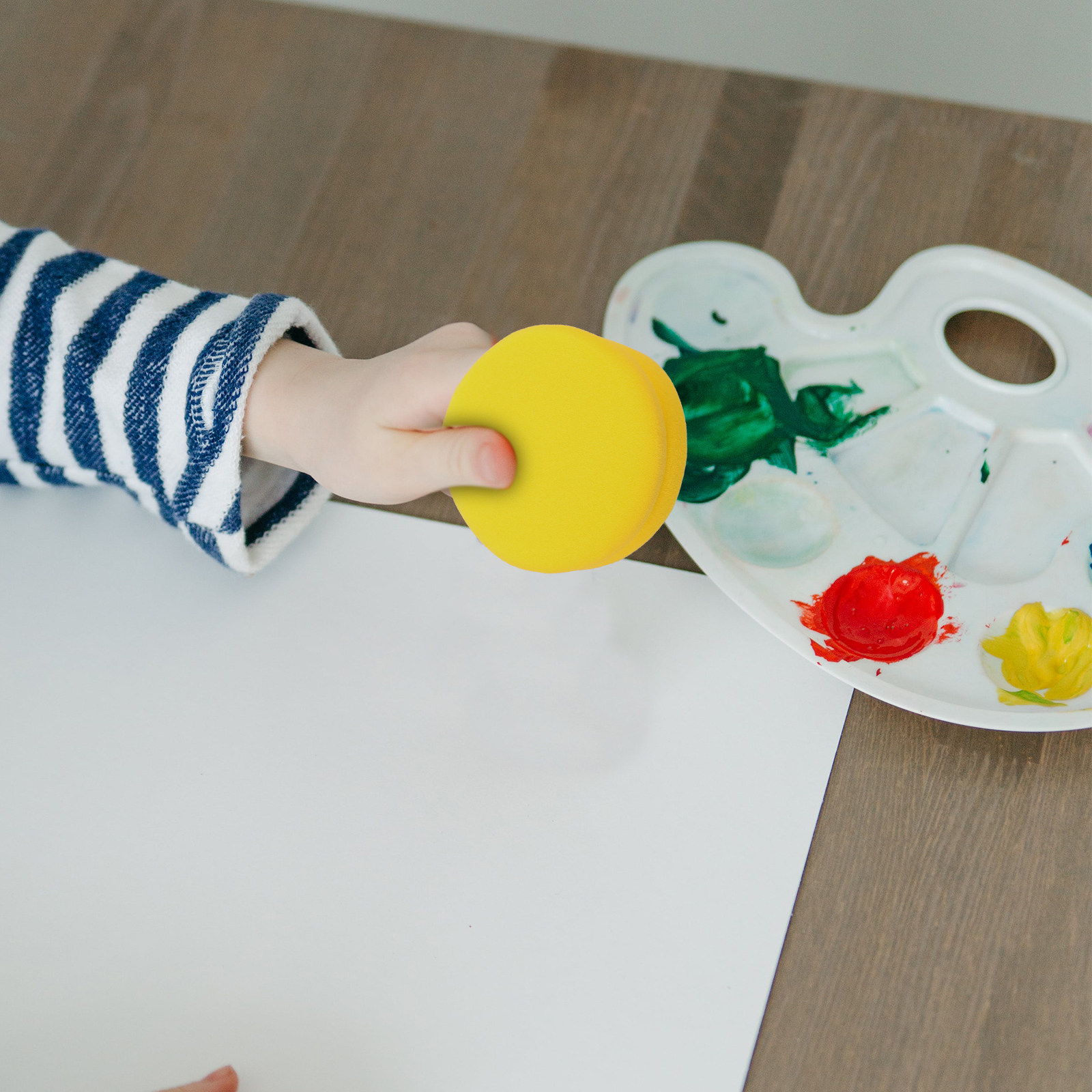 Set di 2 Spugne Rotonde per Pi - Art Craft Class recensione e prezzo