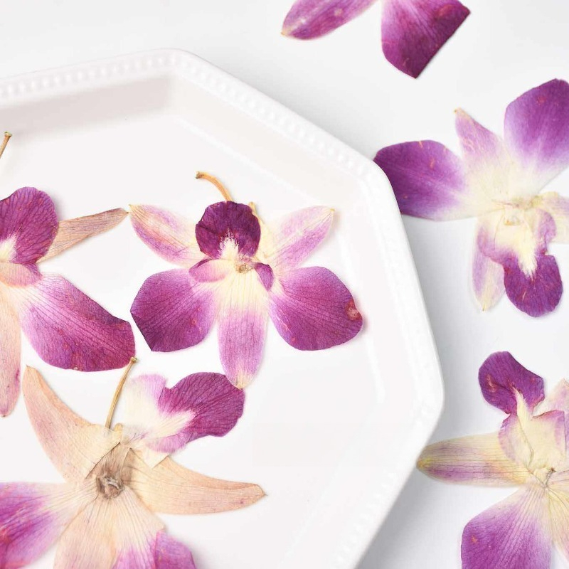 4 Pezzi, Fiori di Orchidea Far - Art Craft Butterfly recensione e prezzo