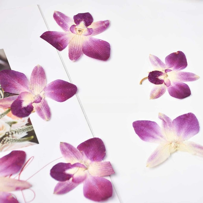 4 Pezzi, Fiori di Orchidea Far - Art Craft Butterfly recensione e prezzo