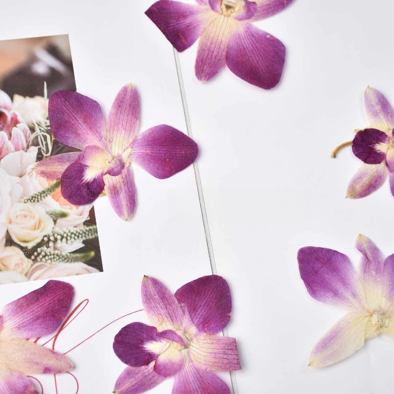 4 Pezzi, Fiori di Orchidea Far - Art Craft Butterfly recensione e prezzo