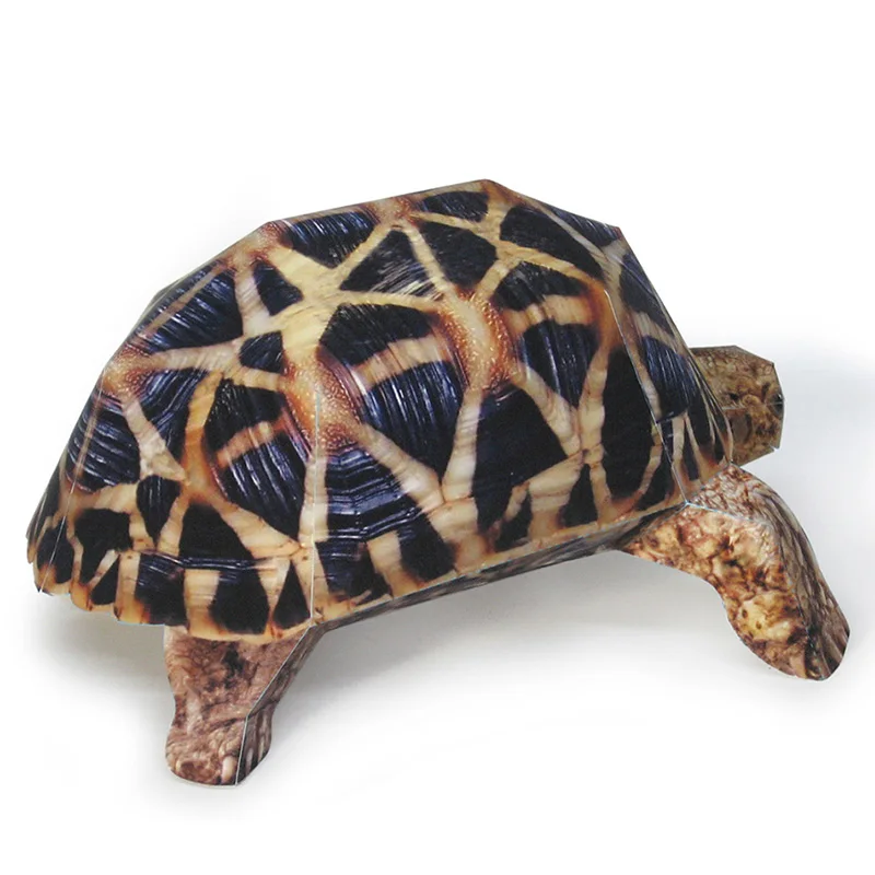 Stella indiana Tartaruga Model - Art Craft Center recensione e prezzo